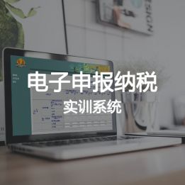 電子申報納稅實訓(xùn)系統(tǒng)